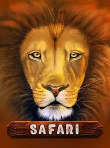 Safari